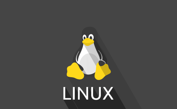 Linux服务器常用测试脚本(硬件信息/路由等)