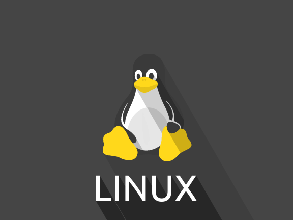Linux磁盘挂载教程