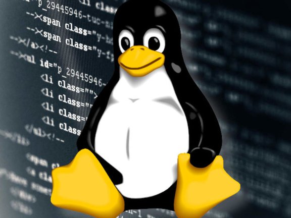 Linux自动磁盘挂载脚本Home版